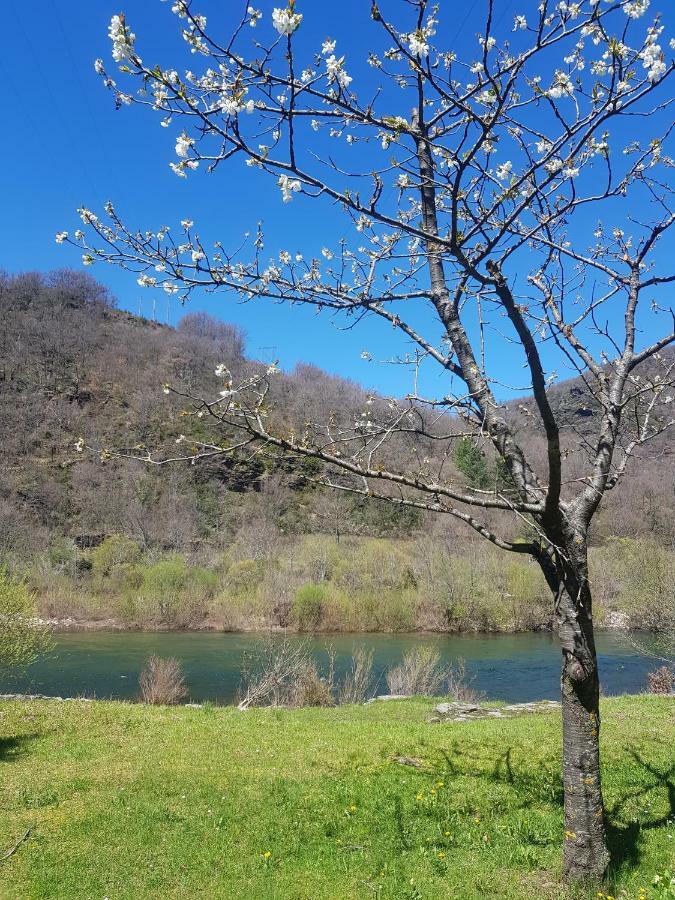 Loz'Aire Naturelle Quezac  ภายนอก รูปภาพ